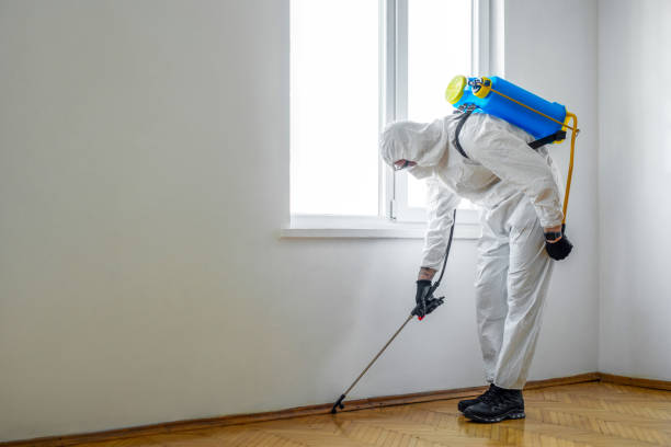 Best Termite Control Services  in Mansfield, PA
