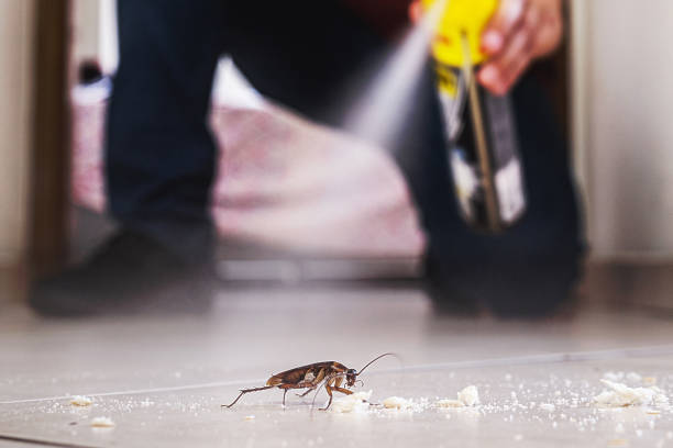 Best Pest Control for Businesses  in Mansfield, PA