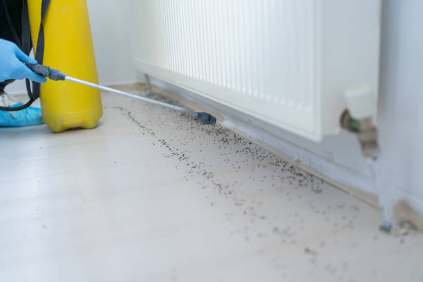 Best Affordable Pest Control Services  in Mansfield, PA
