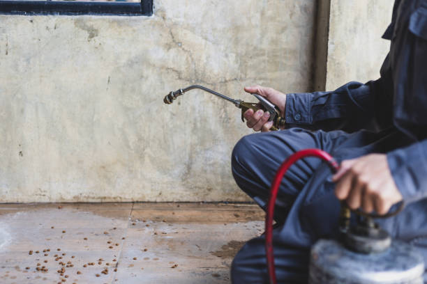 Best Best Pest Control Companies  in Mansfield, PA